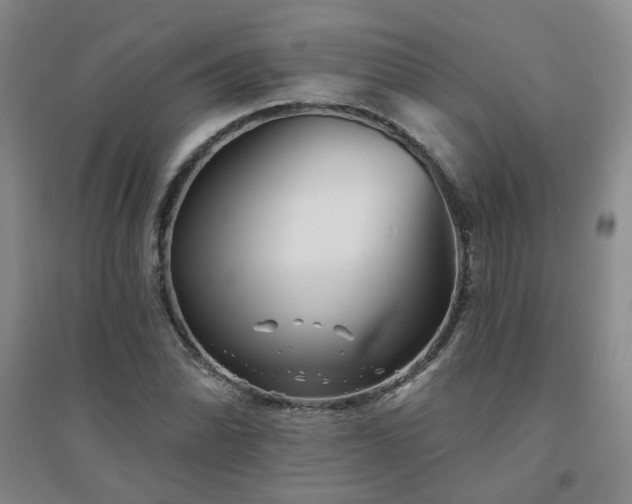 X0000094421070200711151315
