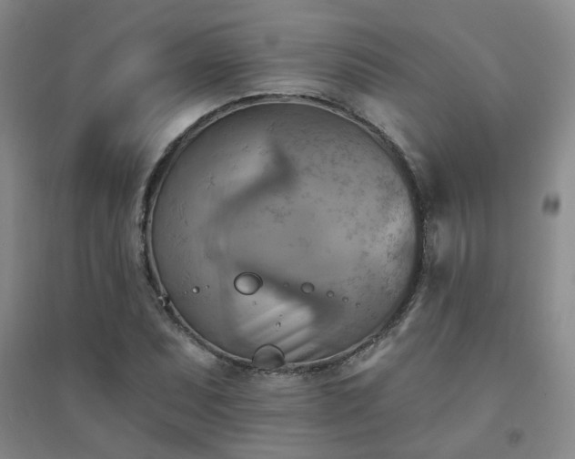 X0000094421071200711151315