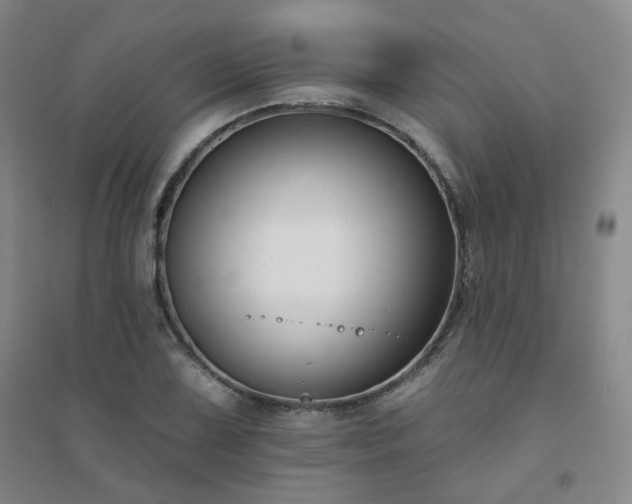 X0000094421075200711151315