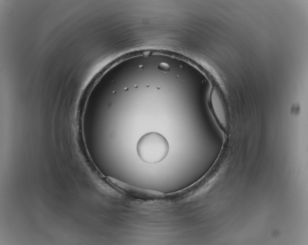X0000094421077200711151315