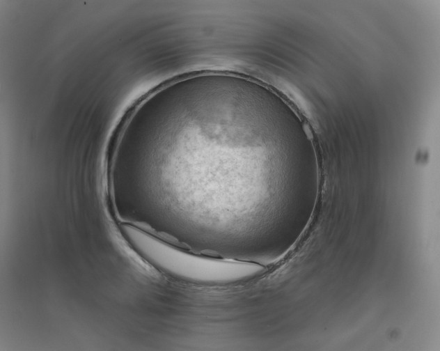 X0000094421080200711151315