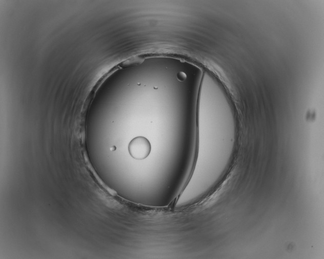 X0000094421081200711151315