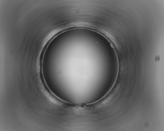 X0000094421082200711151315