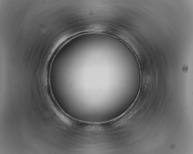 X0000094421083200711151315