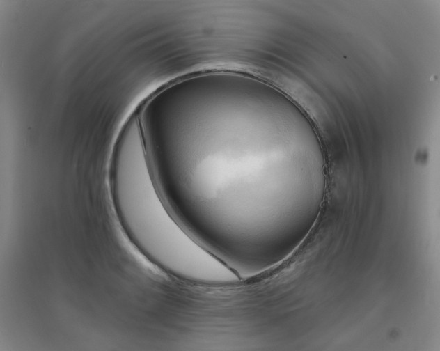 X0000094421084200711151315