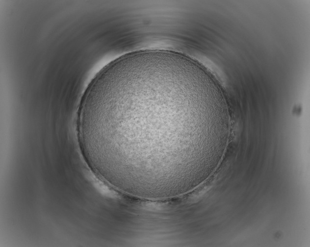X0000094421086200711151315