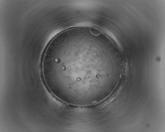 X0000094421087200711151315