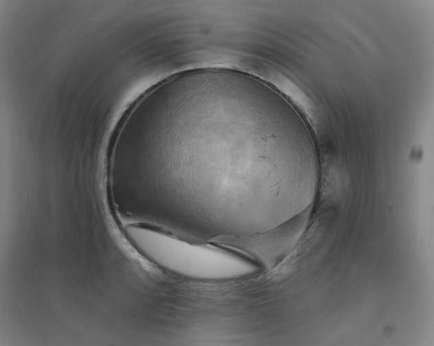 X0000094421088200711151315