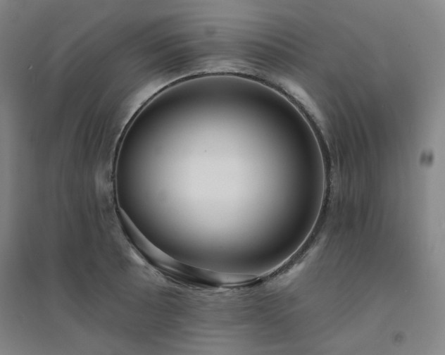 X0000094421089200711151315