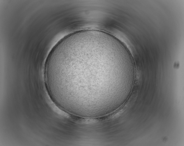 X0000094421090200711151315