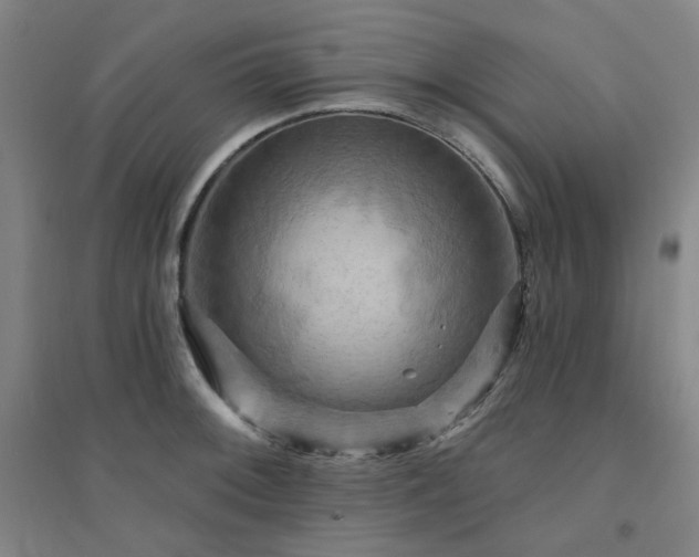 X0000094421092200711151315
