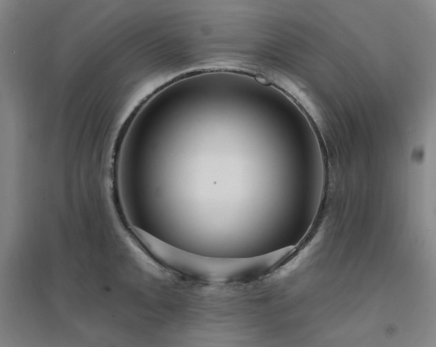 X0000094421093200711151314