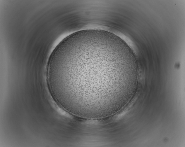 X0000094421094200711151314