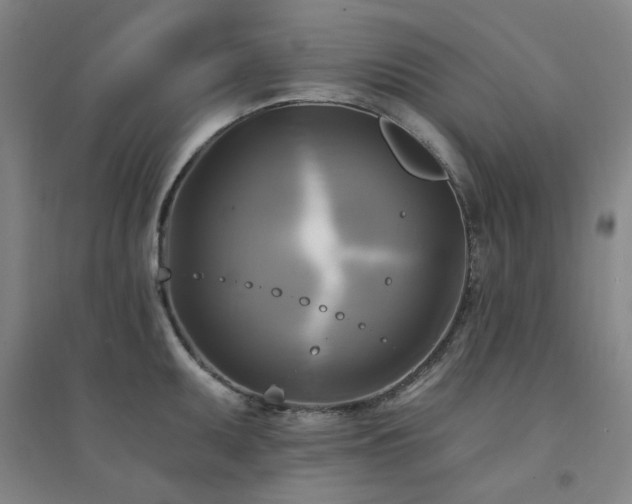 X0000094421095200711151314