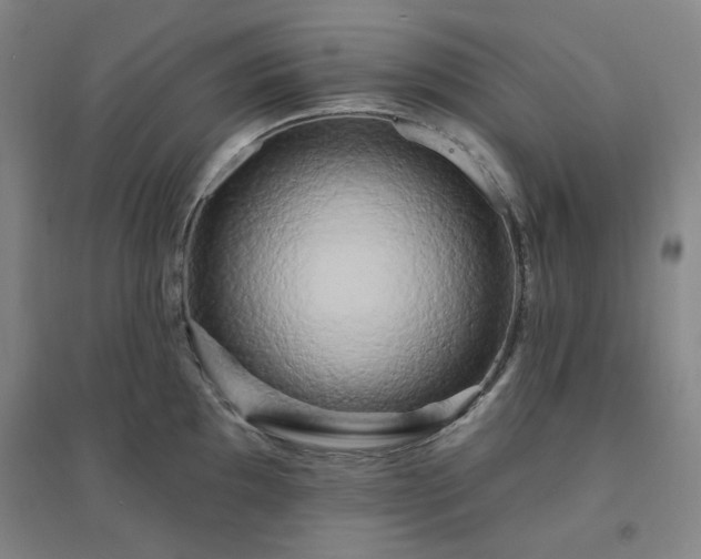 X0000094421097200711151314