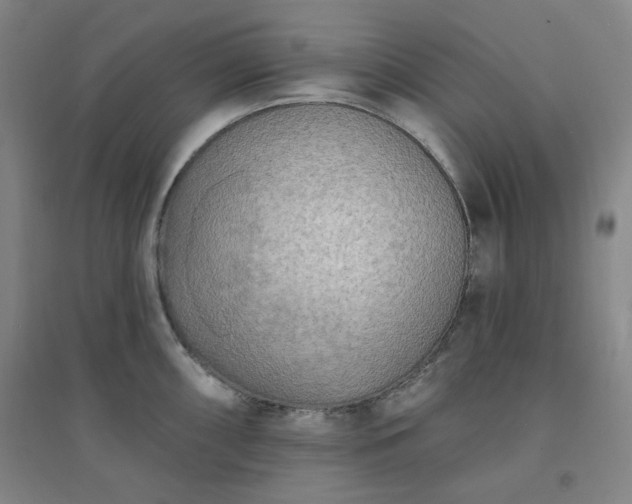 X0000094421098200711151314