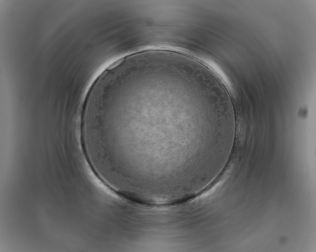 X0000094421100200711151314