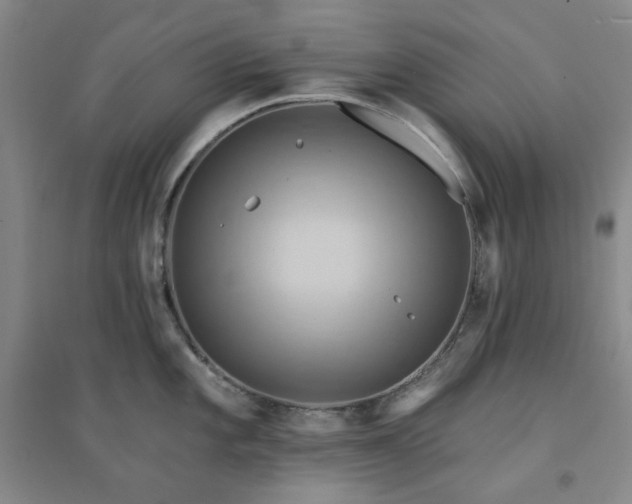 X0000094421101200711151314