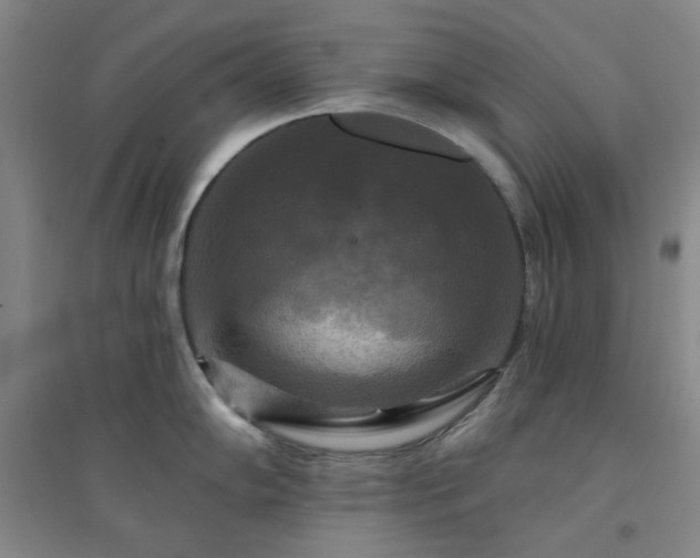 X0000094421102200711151314