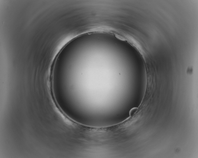 X0000094421103200711151314