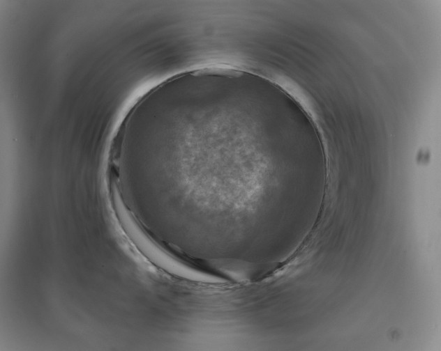 X0000094421104200711151314