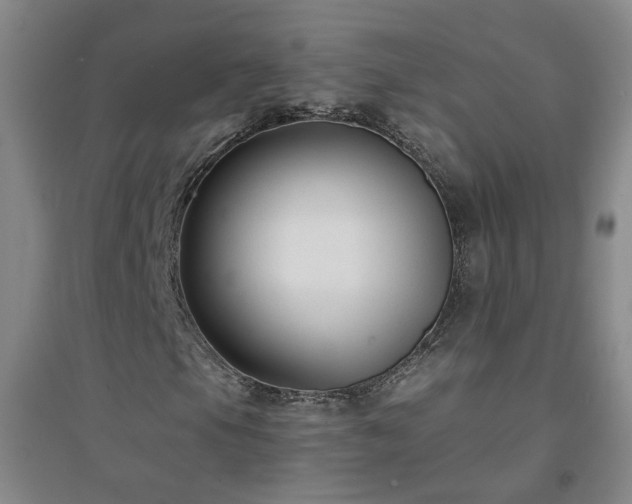 X0000094421105200711151314
