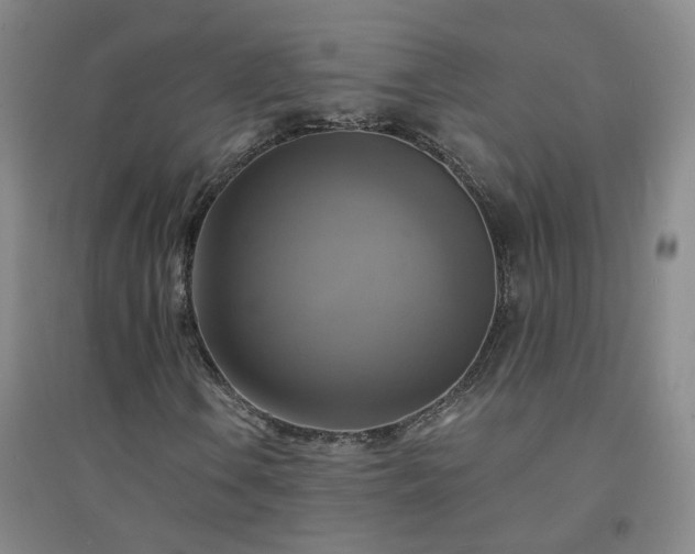 X0000094421106200711151314