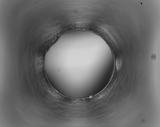 X0000094421107200711151314