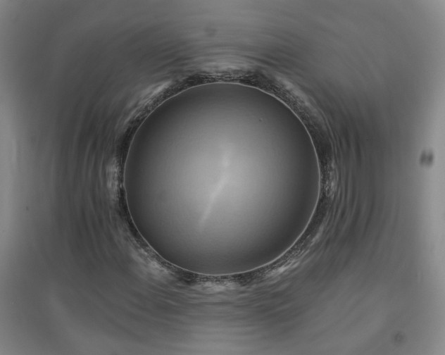 X0000094421108200711151314