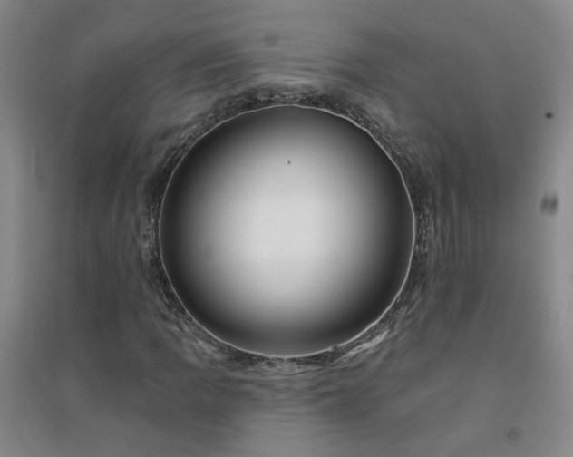 X0000094421109200711151314
