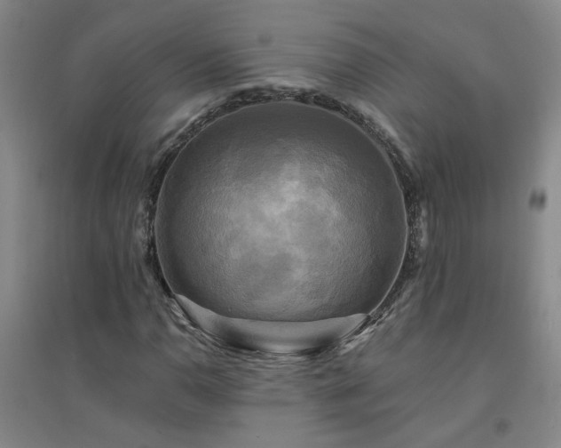 X0000094421110200711151314