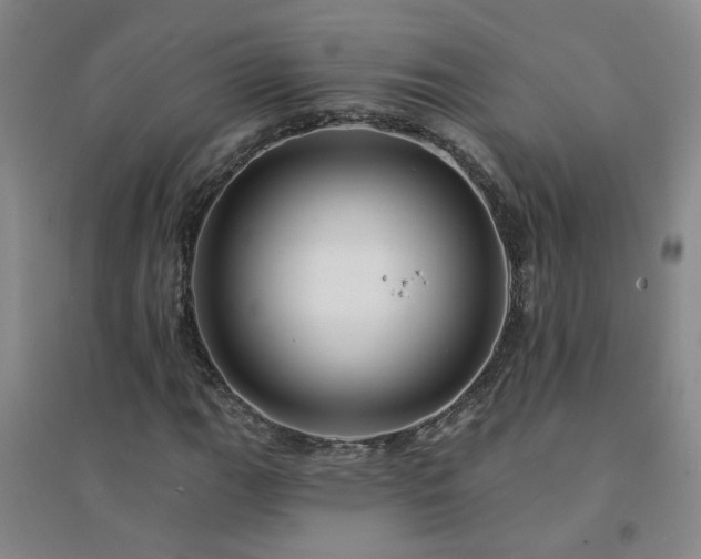 X0000094421111200711151314