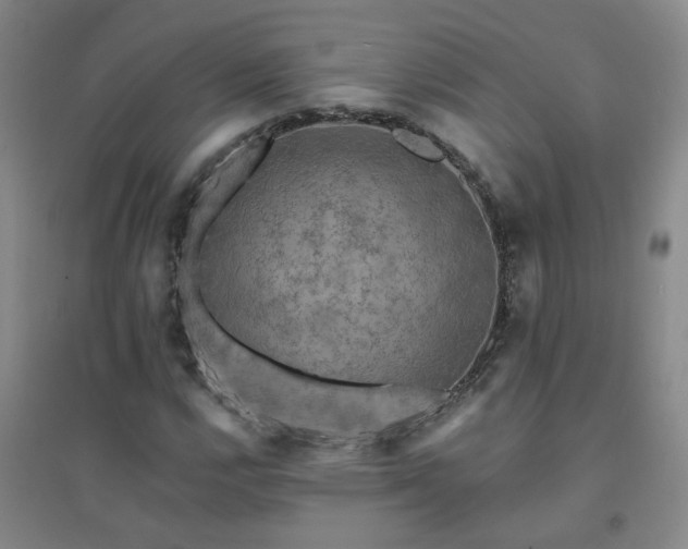 X0000094421112200711151314