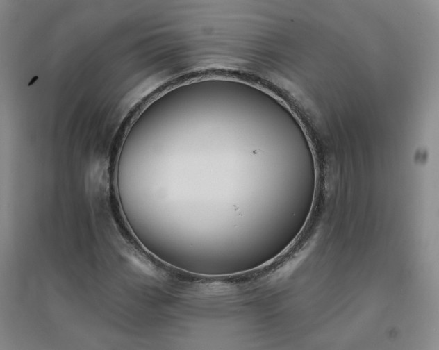 X0000094421113200711151314