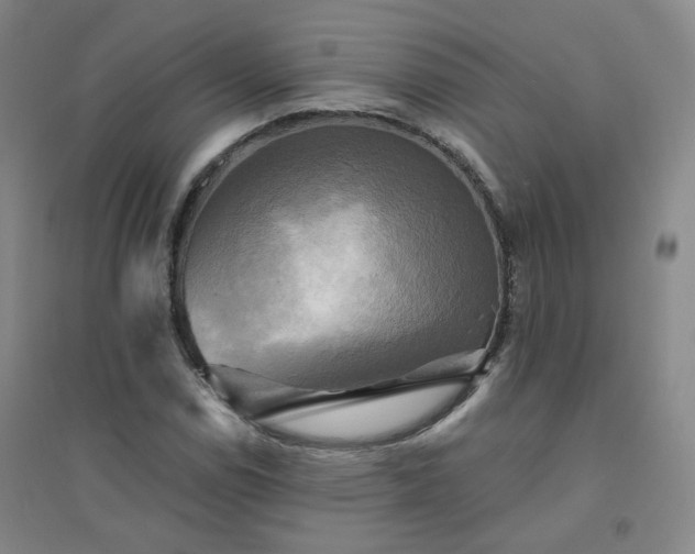X0000094421114200711151314