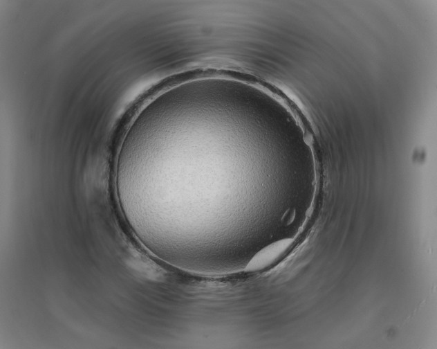X0000094421115200711151314
