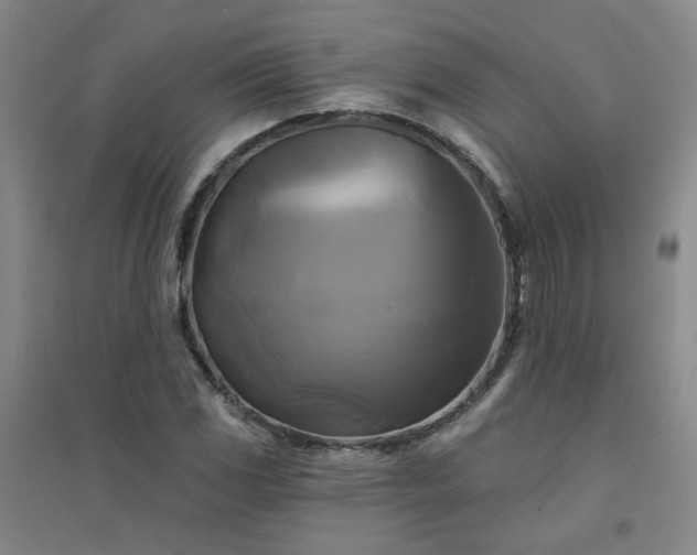 X0000094421117200711151314