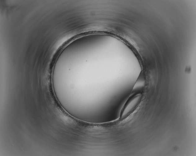 X0000094421119200711151314
