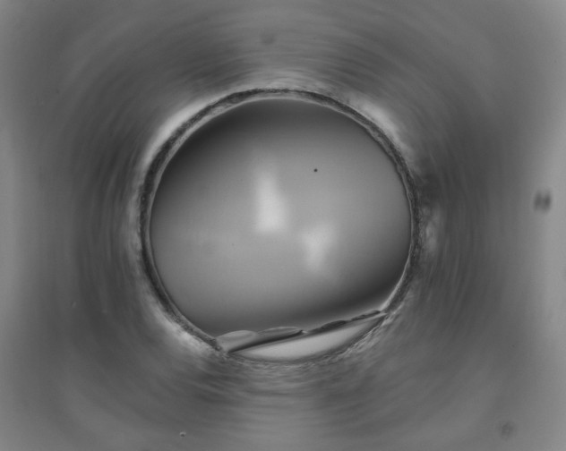 X0000094421120200711151314