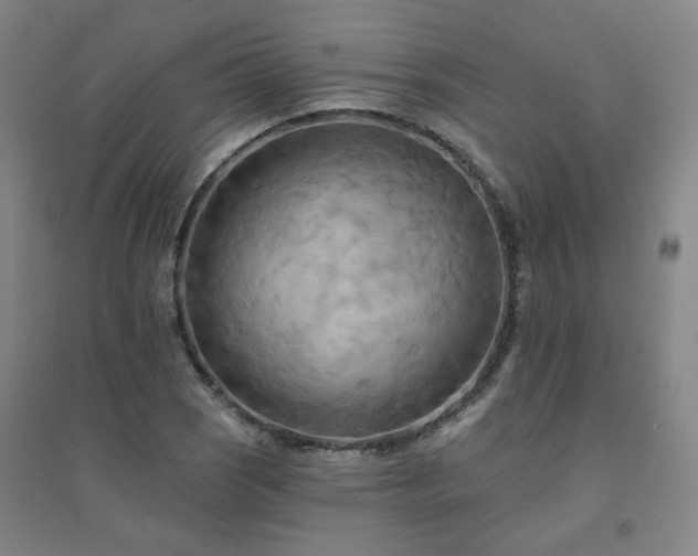 X0000094421121200711151314