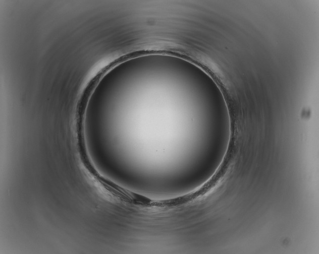 X0000094421122200711151314