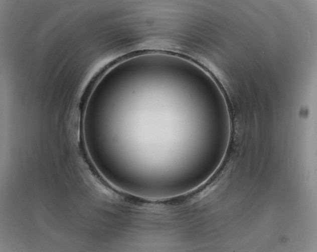 X0000094421123200711151314