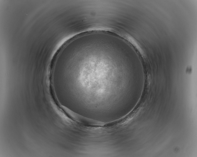 X0000094421124200711151314
