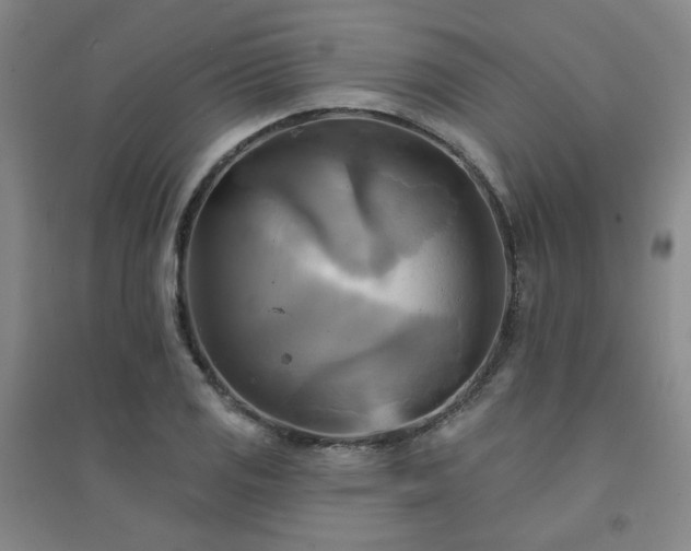 X0000094421125200711151314