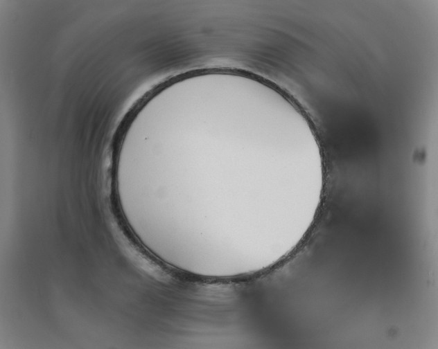 X0000094421126200711151314