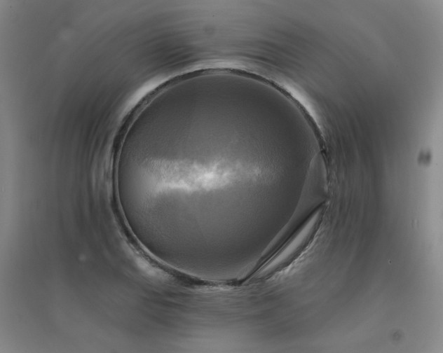 X0000094421127200711151314