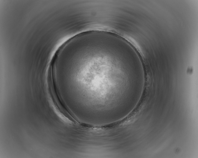 X0000094421128200711151314