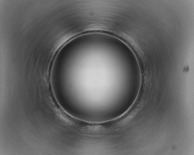 X0000094421129200711151314