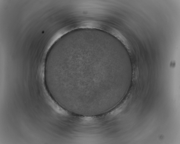 X0000094421130200711151314
