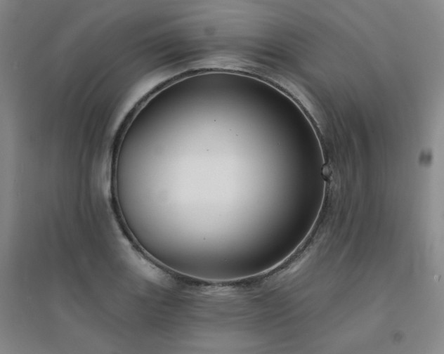 X0000094421131200711151314